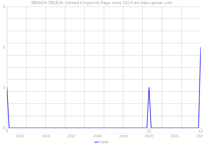 SENADA DELEVA (United Kingdom) Page visits 2024 
