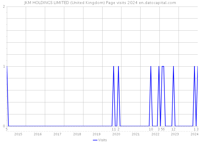 JKM HOLDINGS LIMITED (United Kingdom) Page visits 2024 