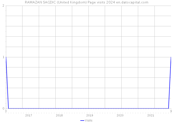 RAMAZAN SAGDIC (United Kingdom) Page visits 2024 