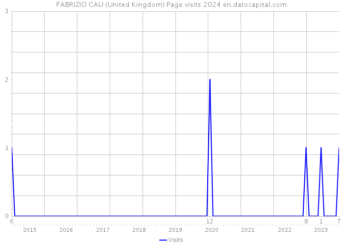 FABRIZIO CAU (United Kingdom) Page visits 2024 