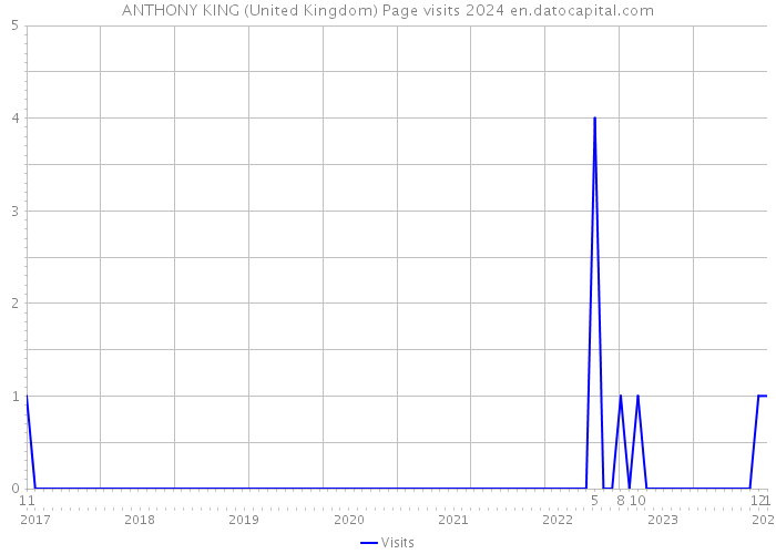 ANTHONY KING (United Kingdom) Page visits 2024 