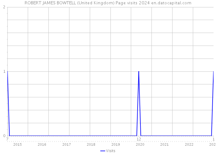 ROBERT JAMES BOWTELL (United Kingdom) Page visits 2024 