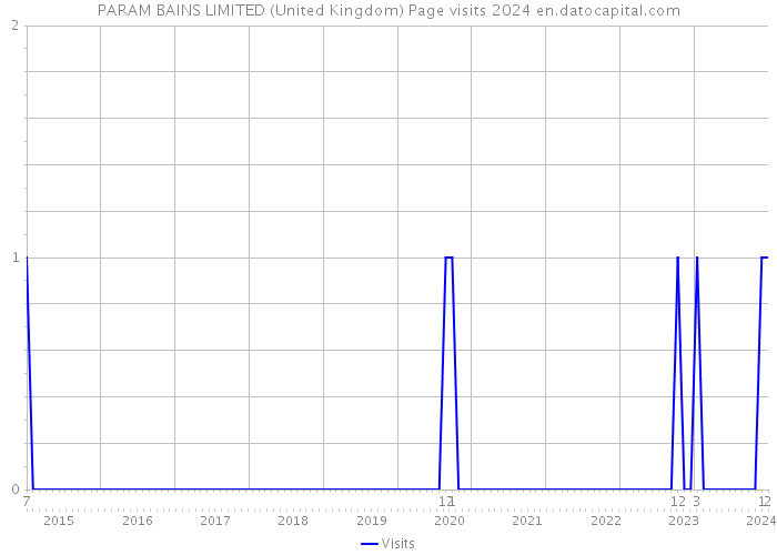 PARAM BAINS LIMITED (United Kingdom) Page visits 2024 