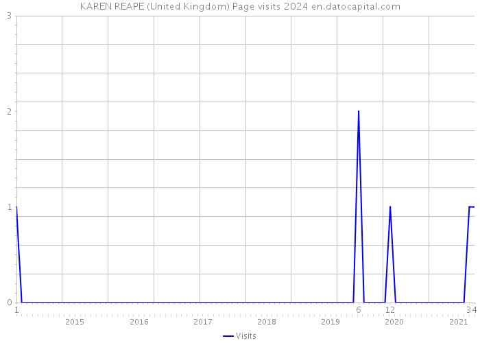 KAREN REAPE (United Kingdom) Page visits 2024 