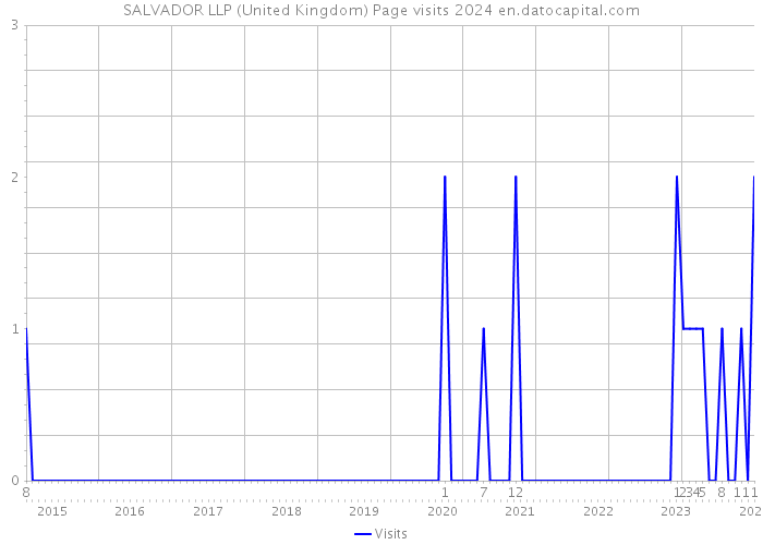 SALVADOR LLP (United Kingdom) Page visits 2024 