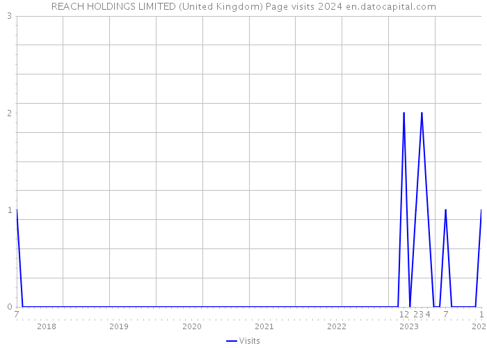 REACH HOLDINGS LIMITED (United Kingdom) Page visits 2024 