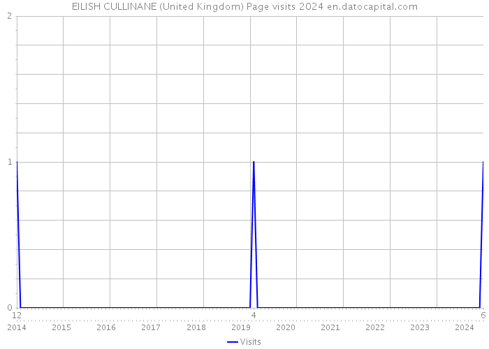 EILISH CULLINANE (United Kingdom) Page visits 2024 
