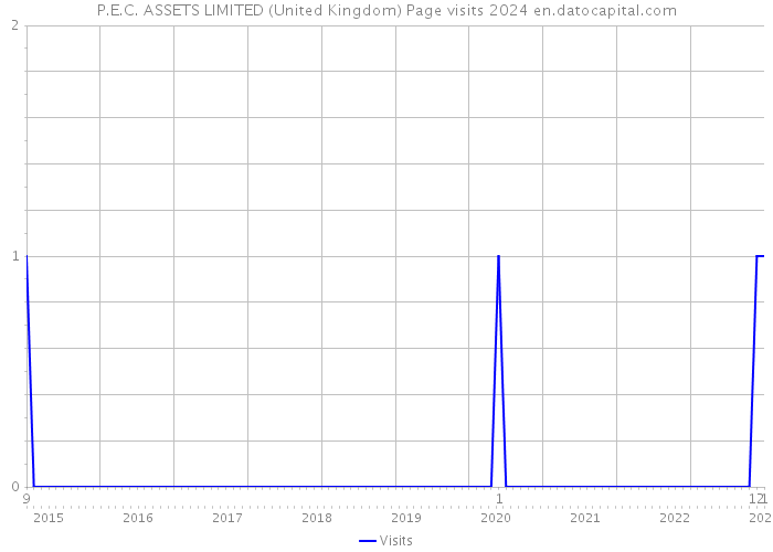 P.E.C. ASSETS LIMITED (United Kingdom) Page visits 2024 