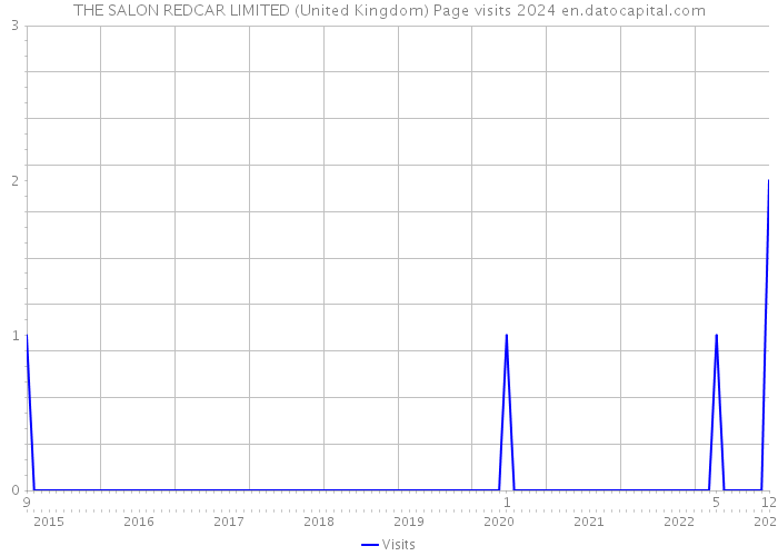 THE SALON REDCAR LIMITED (United Kingdom) Page visits 2024 