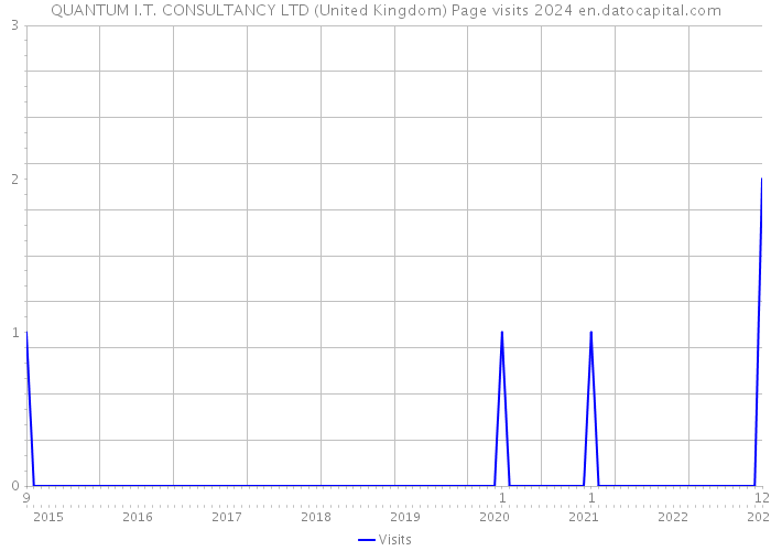 QUANTUM I.T. CONSULTANCY LTD (United Kingdom) Page visits 2024 