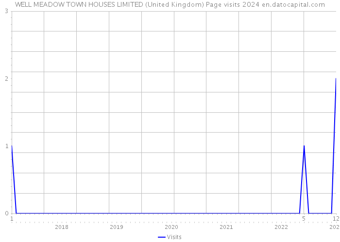 WELL MEADOW TOWN HOUSES LIMITED (United Kingdom) Page visits 2024 
