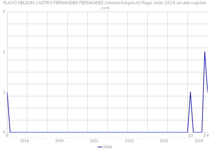 FLAVO NELSON CASTRO FERNANDES FERNANDES (United Kingdom) Page visits 2024 