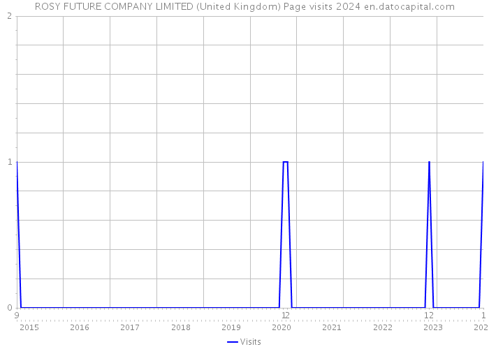 ROSY FUTURE COMPANY LIMITED (United Kingdom) Page visits 2024 