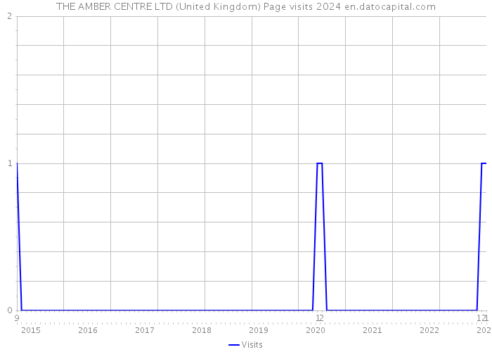 THE AMBER CENTRE LTD (United Kingdom) Page visits 2024 
