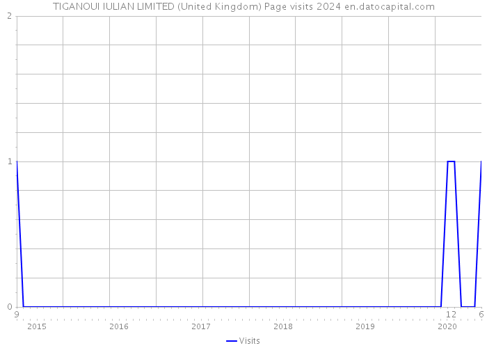 TIGANOUI IULIAN LIMITED (United Kingdom) Page visits 2024 