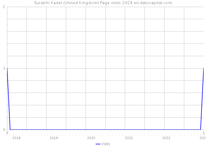 Surabhi Kadel (United Kingdom) Page visits 2024 