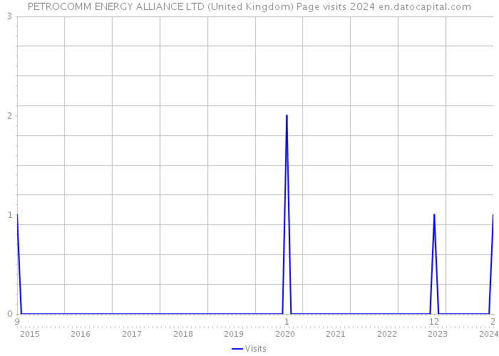 PETROCOMM ENERGY ALLIANCE LTD (United Kingdom) Page visits 2024 