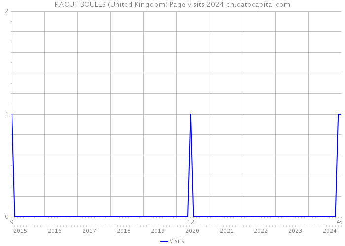 RAOUF BOULES (United Kingdom) Page visits 2024 