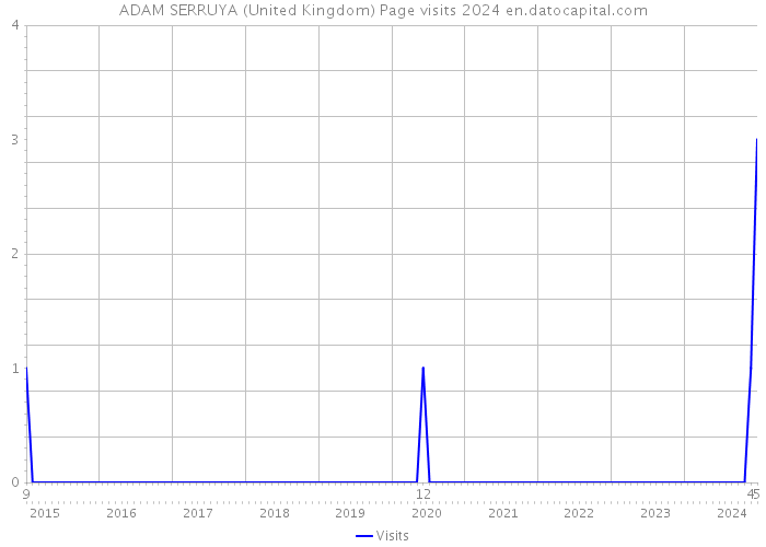ADAM SERRUYA (United Kingdom) Page visits 2024 