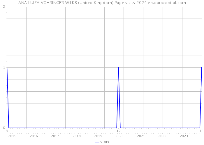 ANA LUIZA VOHRINGER WILKS (United Kingdom) Page visits 2024 