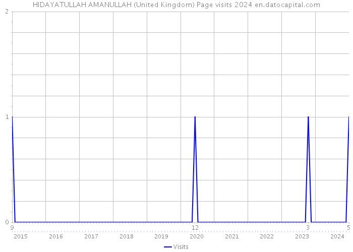 HIDAYATULLAH AMANULLAH (United Kingdom) Page visits 2024 
