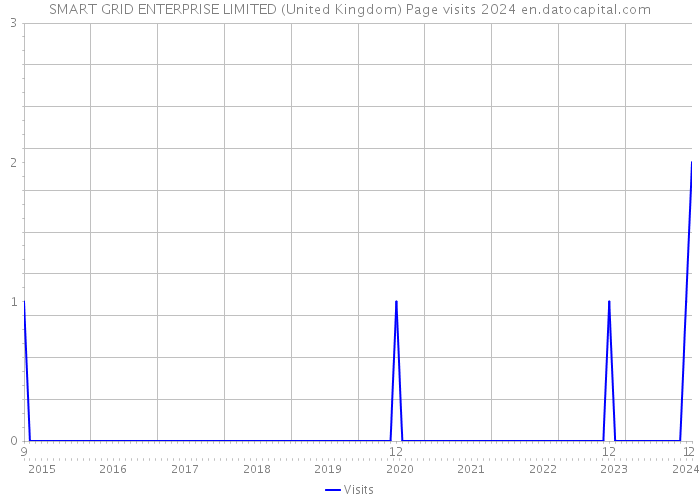 SMART GRID ENTERPRISE LIMITED (United Kingdom) Page visits 2024 