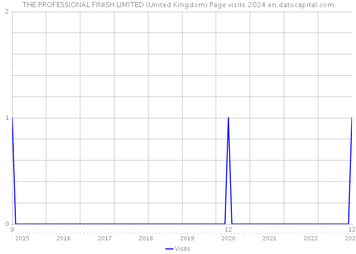 THE PROFESSIONAL FINISH LIMITED (United Kingdom) Page visits 2024 