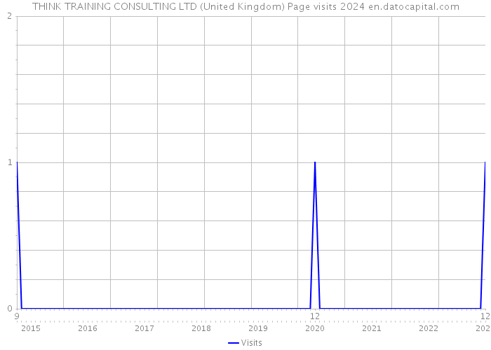 THINK TRAINING CONSULTING LTD (United Kingdom) Page visits 2024 