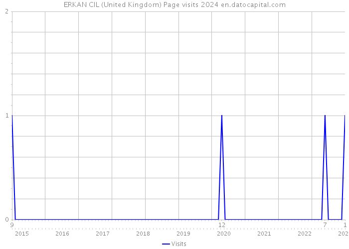ERKAN CIL (United Kingdom) Page visits 2024 