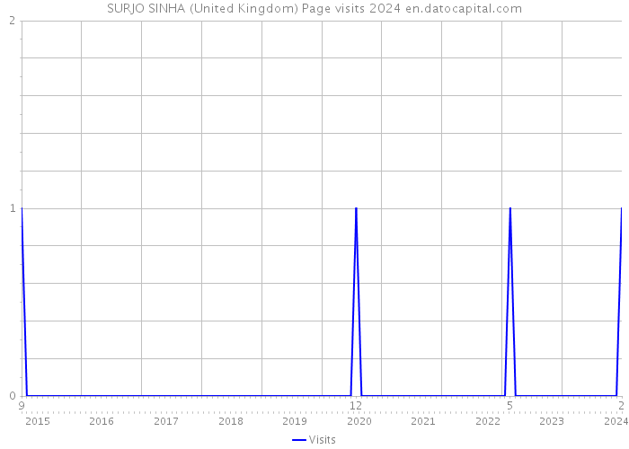 SURJO SINHA (United Kingdom) Page visits 2024 