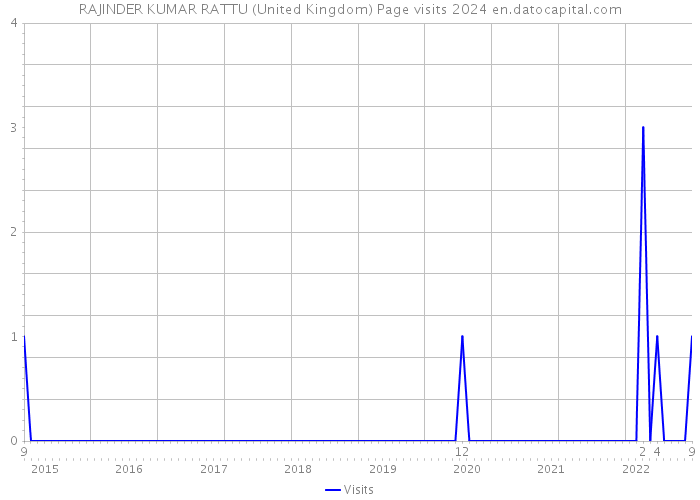 RAJINDER KUMAR RATTU (United Kingdom) Page visits 2024 