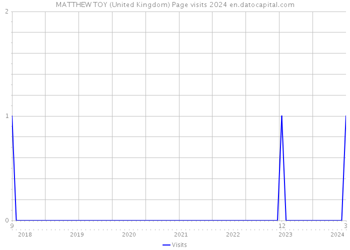 MATTHEW TOY (United Kingdom) Page visits 2024 