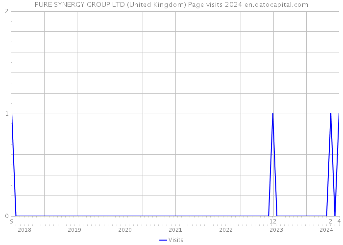 PURE SYNERGY GROUP LTD (United Kingdom) Page visits 2024 
