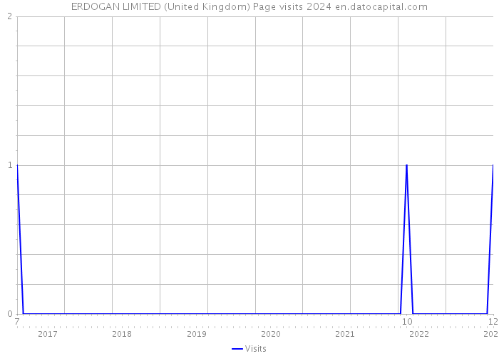 ERDOGAN LIMITED (United Kingdom) Page visits 2024 