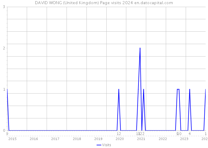 DAVID WONG (United Kingdom) Page visits 2024 