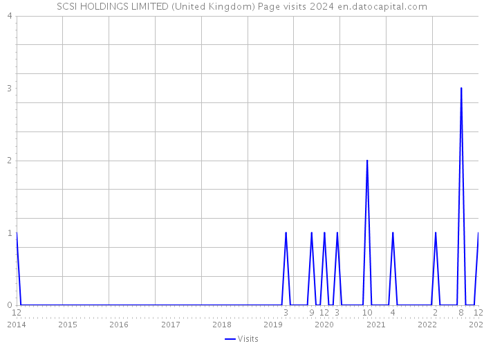 SCSI HOLDINGS LIMITED (United Kingdom) Page visits 2024 
