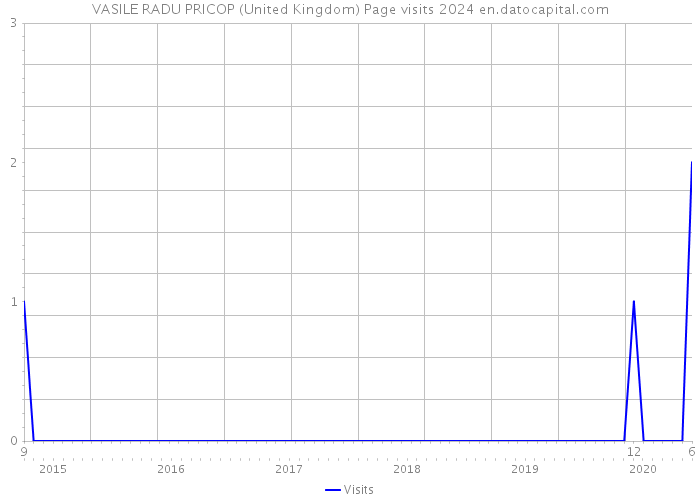 VASILE RADU PRICOP (United Kingdom) Page visits 2024 