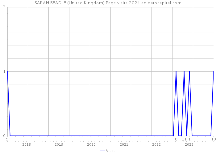 SARAH BEADLE (United Kingdom) Page visits 2024 