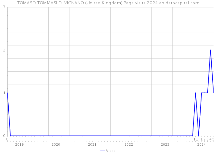 TOMASO TOMMASI DI VIGNANO (United Kingdom) Page visits 2024 