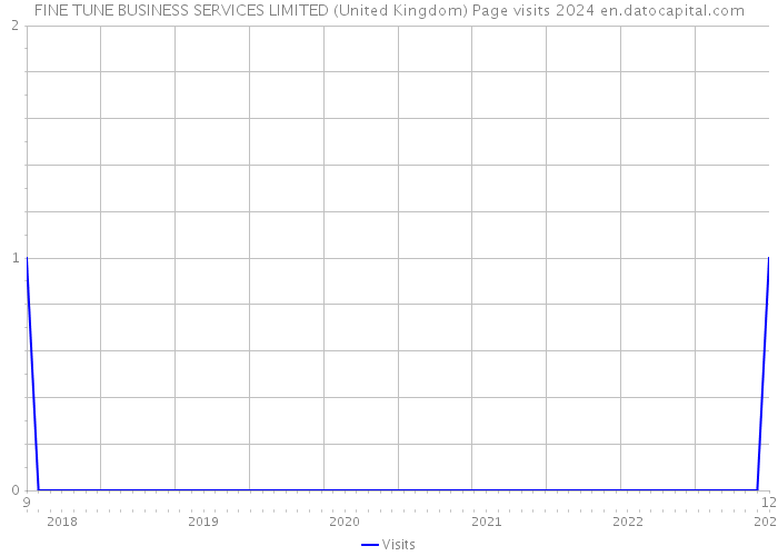 FINE TUNE BUSINESS SERVICES LIMITED (United Kingdom) Page visits 2024 