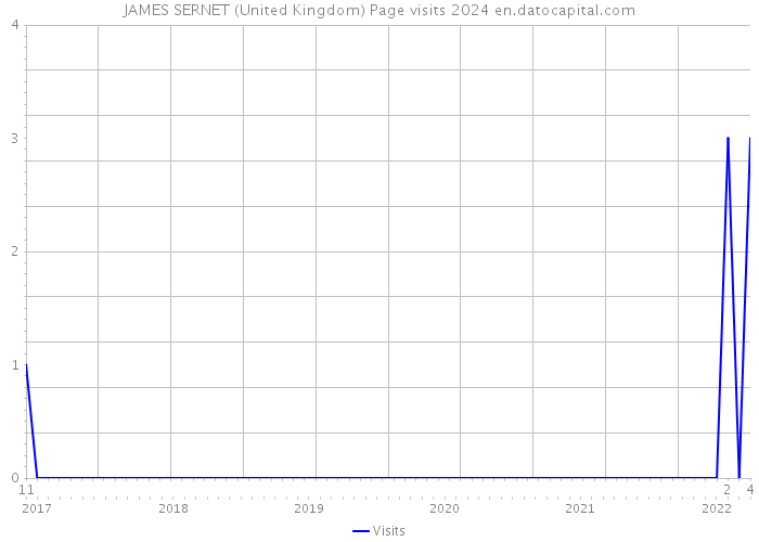 JAMES SERNET (United Kingdom) Page visits 2024 