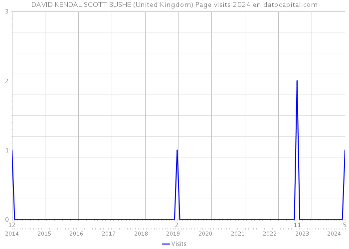 DAVID KENDAL SCOTT BUSHE (United Kingdom) Page visits 2024 