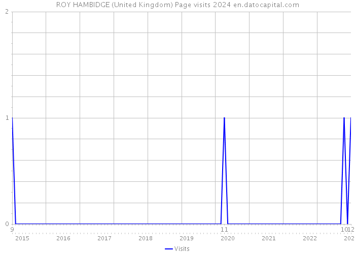 ROY HAMBIDGE (United Kingdom) Page visits 2024 