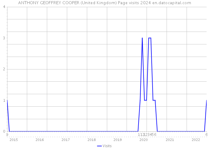 ANTHONY GEOFFREY COOPER (United Kingdom) Page visits 2024 