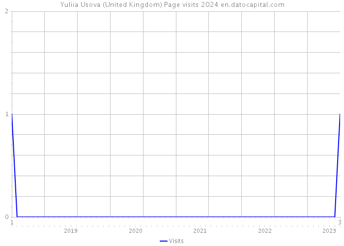 Yuliia Usova (United Kingdom) Page visits 2024 