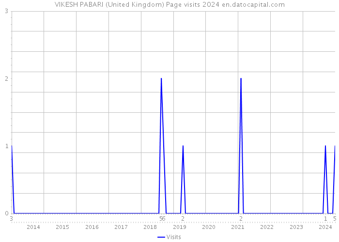 VIKESH PABARI (United Kingdom) Page visits 2024 