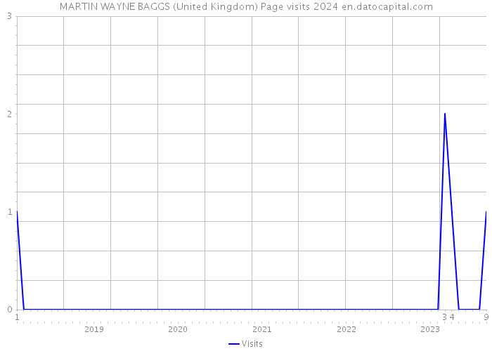 MARTIN WAYNE BAGGS (United Kingdom) Page visits 2024 