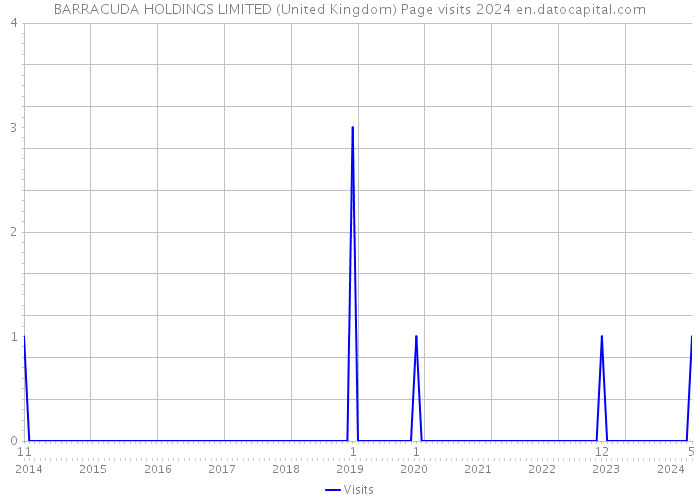 BARRACUDA HOLDINGS LIMITED (United Kingdom) Page visits 2024 