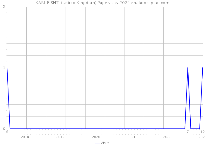 KARL BISHTI (United Kingdom) Page visits 2024 