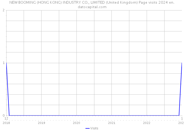 NEW BOOMING (HONG KONG) INDUSTRY CO., LIMITED (United Kingdom) Page visits 2024 